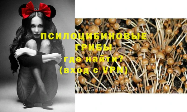 герыч Снежинск