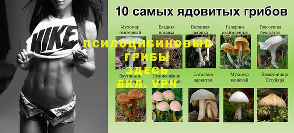 герыч Снежинск