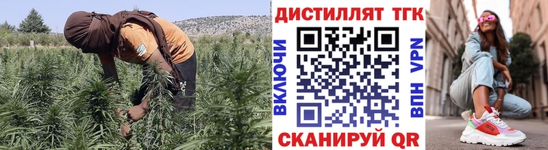 ТГК THC oil  Купить  Оса 